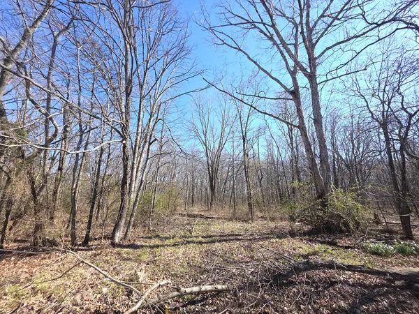 $429,000 | 1022 Grouse Lane, Louisville, IL 62858