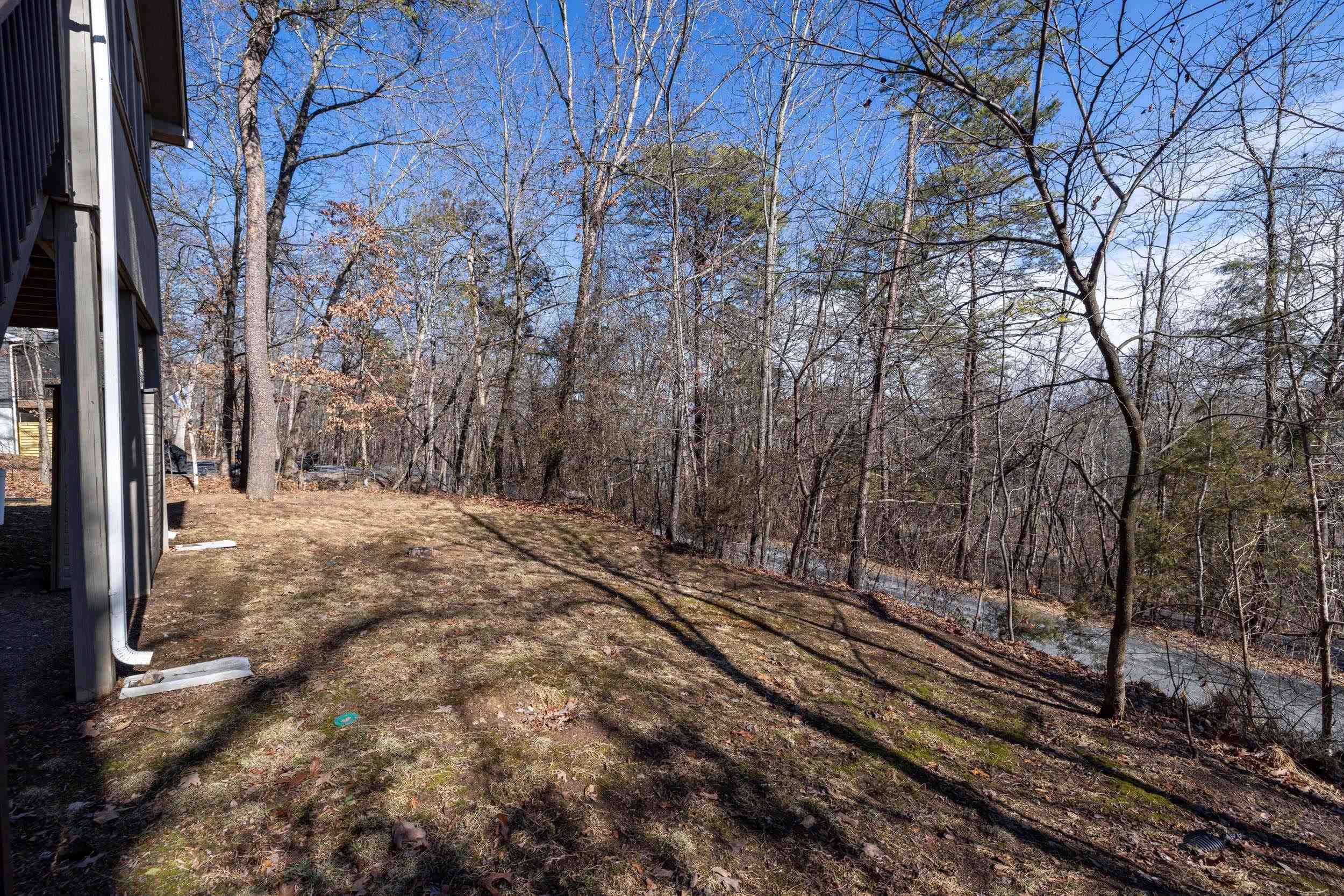 86 Maple Avenue Mount Jackson, VA 22842 - Photo 40 of 49 a view of a yard with large trees