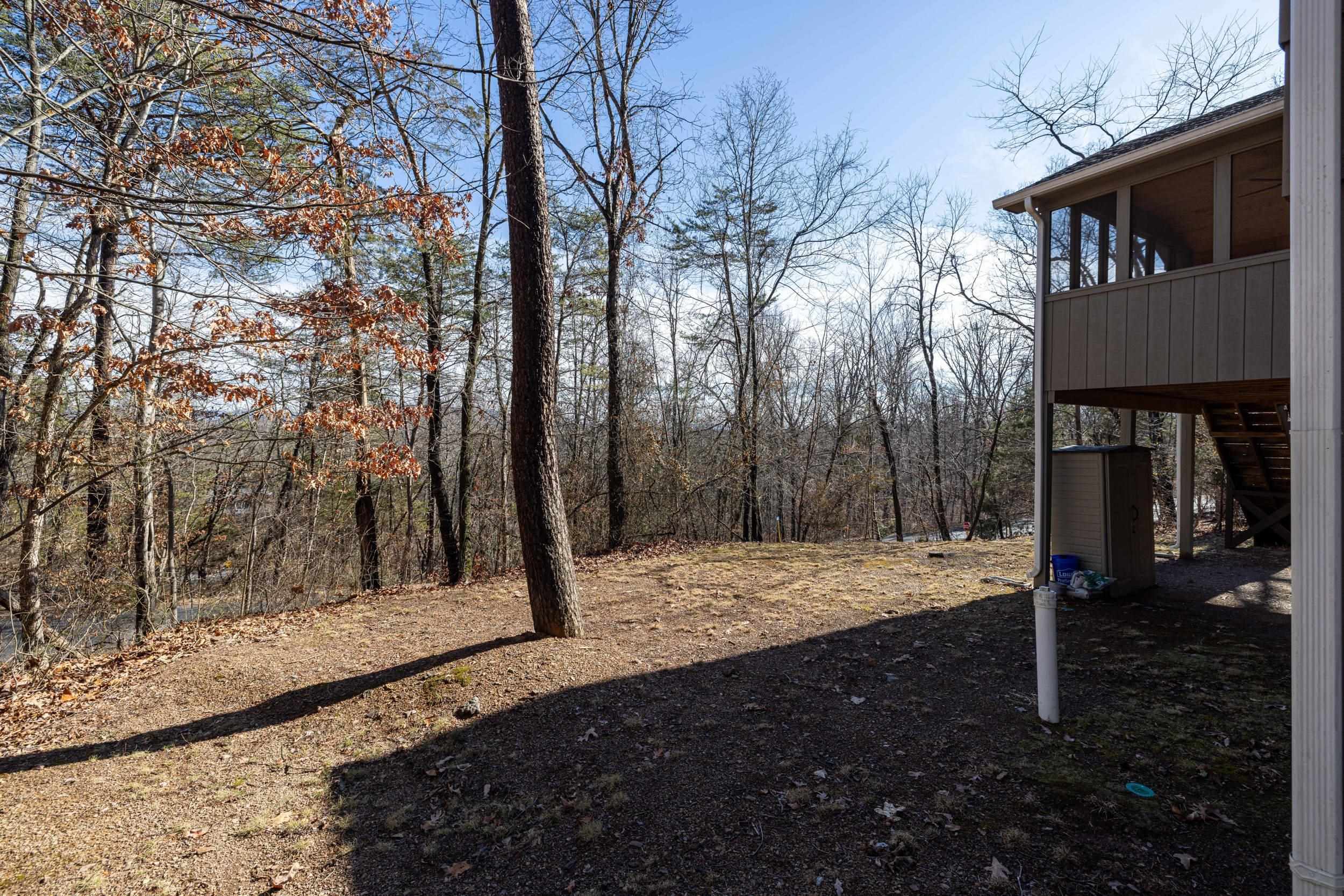 86 Maple Avenue Mount Jackson, VA 22842 - Photo 41 of 49 a view of a yard with wooden fence