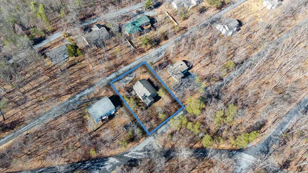 a view of a dry field with lots of trees
