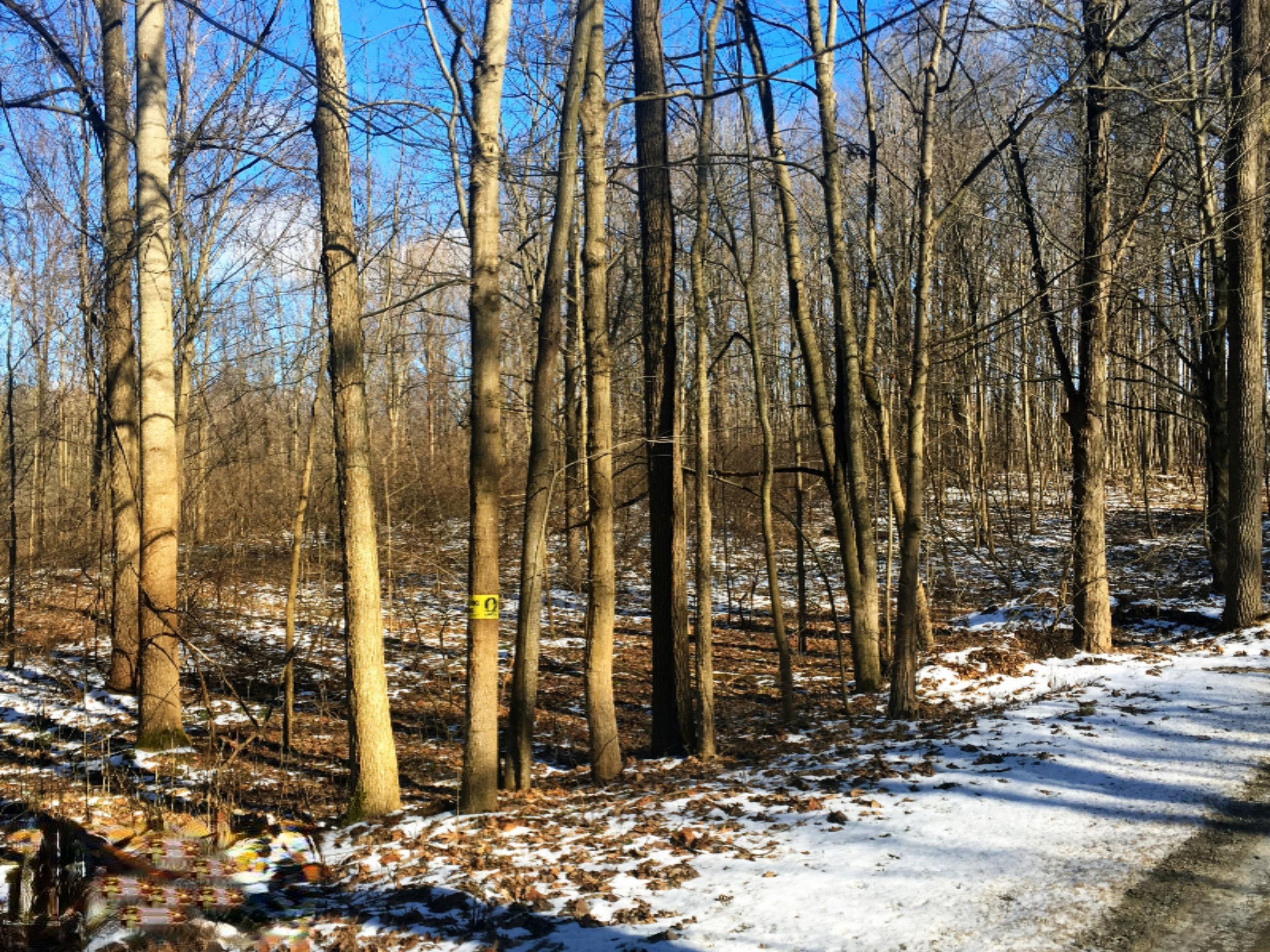 459 Larson Road Galien, MI 49113 - Photo 5 of 5 5