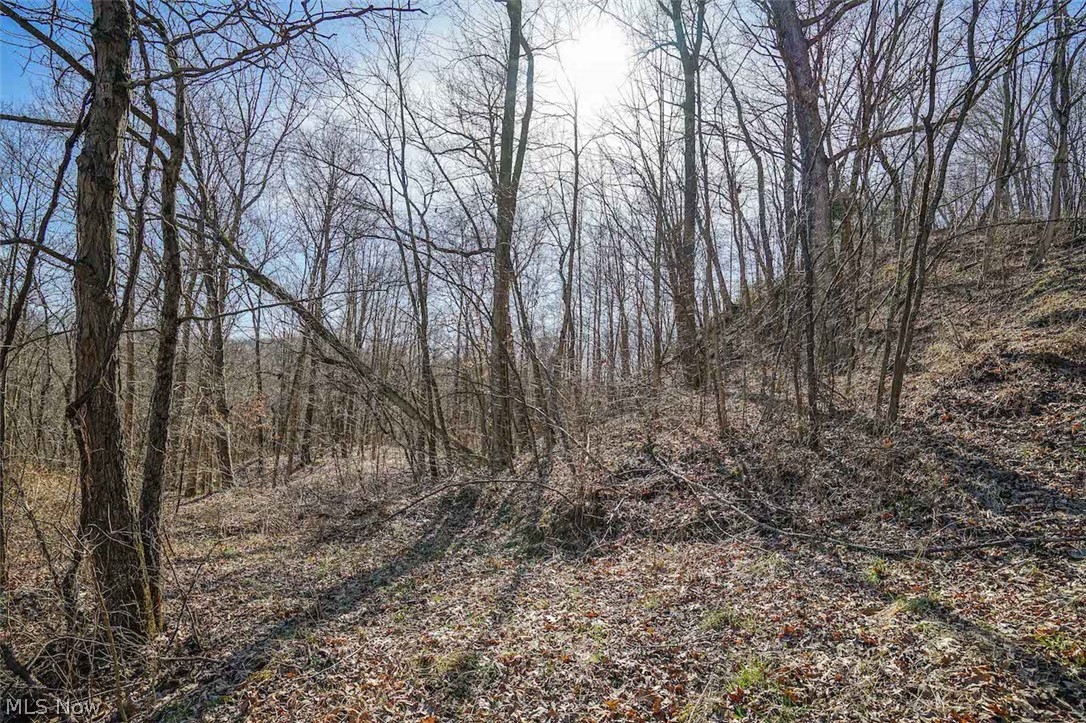 6435 Buttermilk Road Blue Rock, OH 43720 - Photo 14 of 33 Gallery Image 14