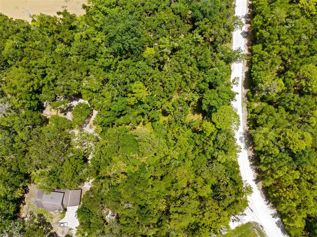0 Ricebird Avenue, Unit LOT 89 Weeki Wachee, FL 34614 - Photo 7 of 27