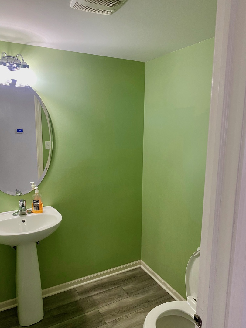 308 Niagara Drive Volo, IL 60073 - Photo 8 of 17 a bathroom with a sink and a mirror