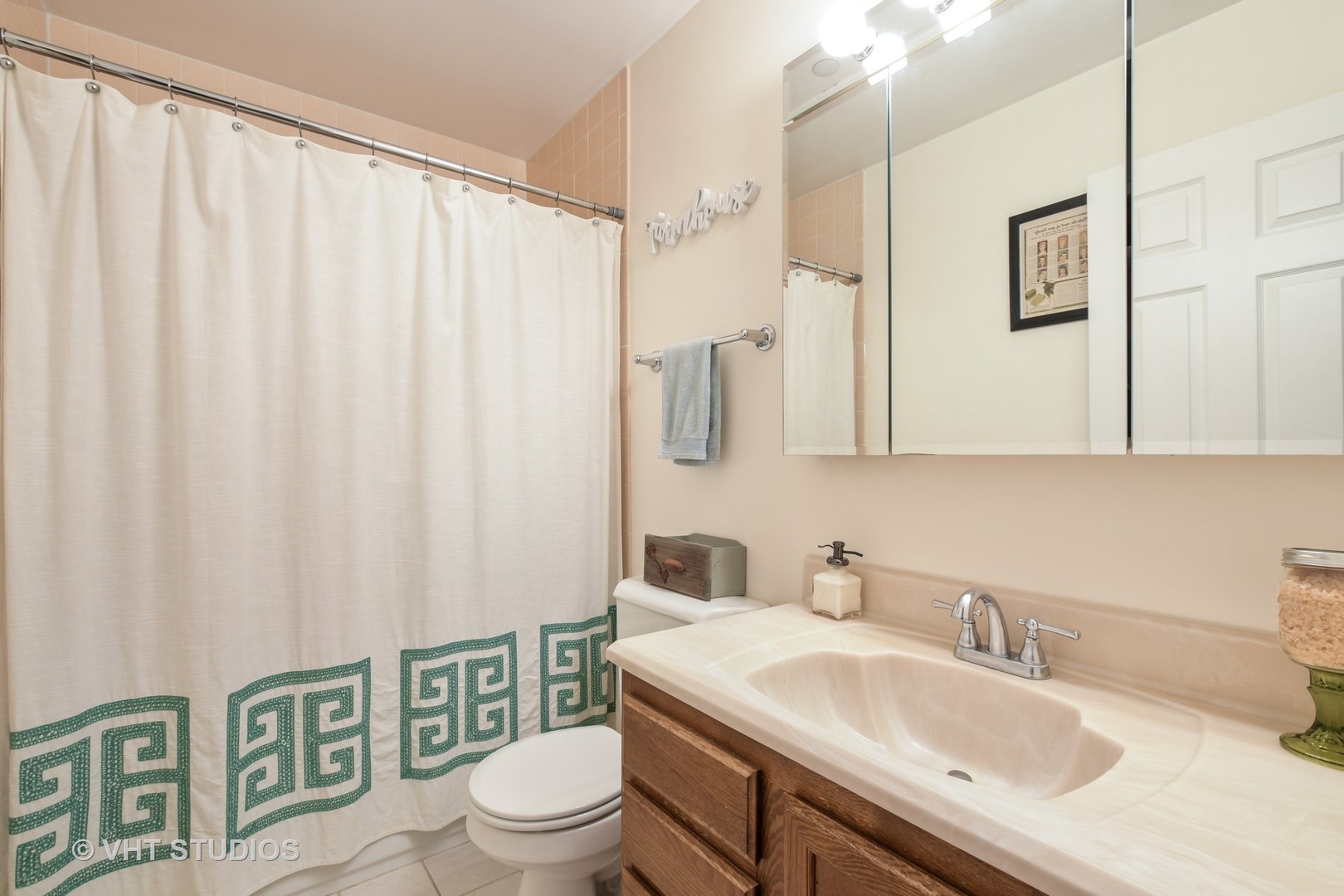 1979 Ammer Ridge Court, Unit 301 Glenview, IL 60025 - Photo 10 of 12 a bathroom with a sink a toilet and shower curtain