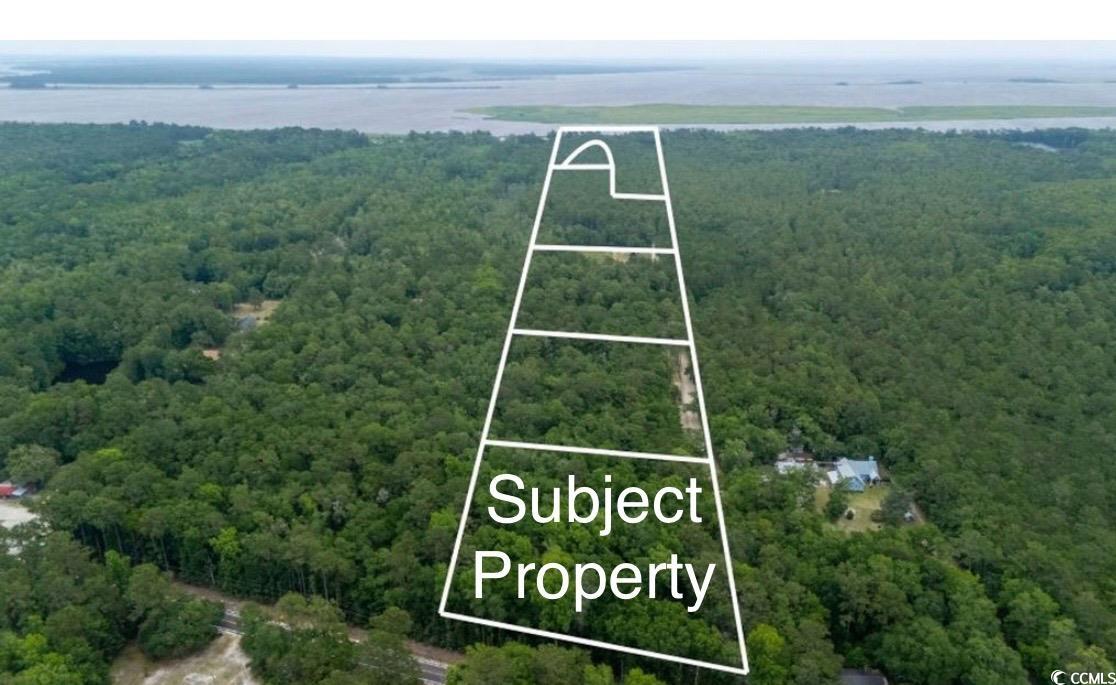 Parcel G South Island Road Georgetown, SC 29440 - Photo 3 of 9 Aerial view of property's location featuring a forest and property parcel outlined