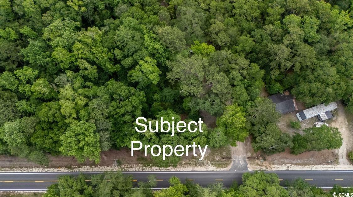 Parcel G South Island Road Georgetown, SC 29440 - Photo 6 of 9 Aerial view of property's location