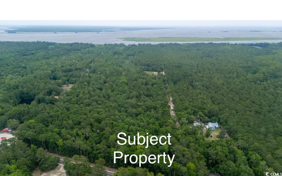 Parcel G South Island Road Georgetown, SC 29440 - Photo 7 of 9 Aerial view of a forest