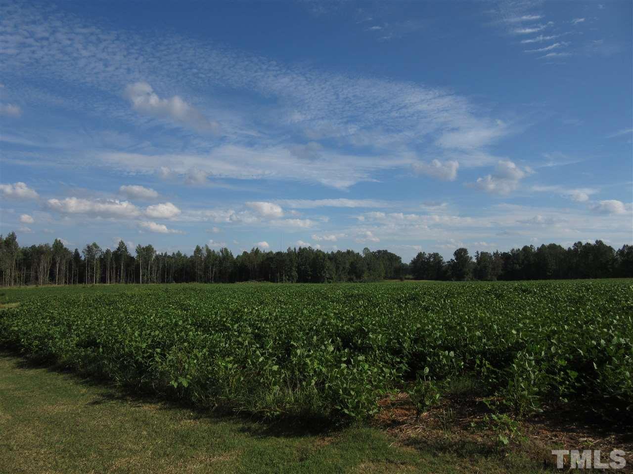 2281 Bryantown Road, Unit 68 49 ACRES Spring Hope, NC 27882 - Photo 1 of 21 a view of a lush green outdoor space with a lake view