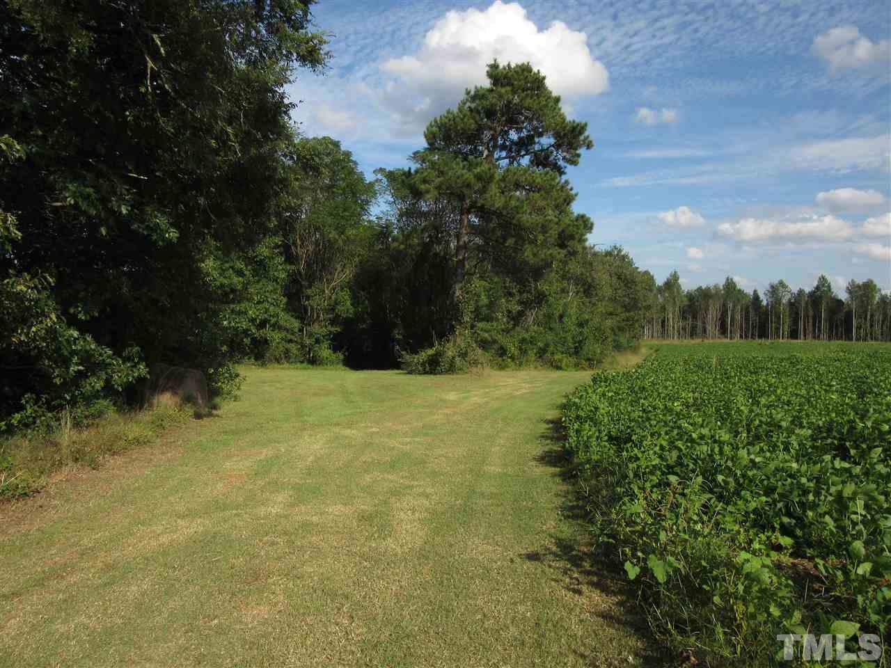 2281 Bryantown Road, Unit 68 49 ACRES Spring Hope, NC 27882 - Photo 3 of 21 a view of outdoor space and yard