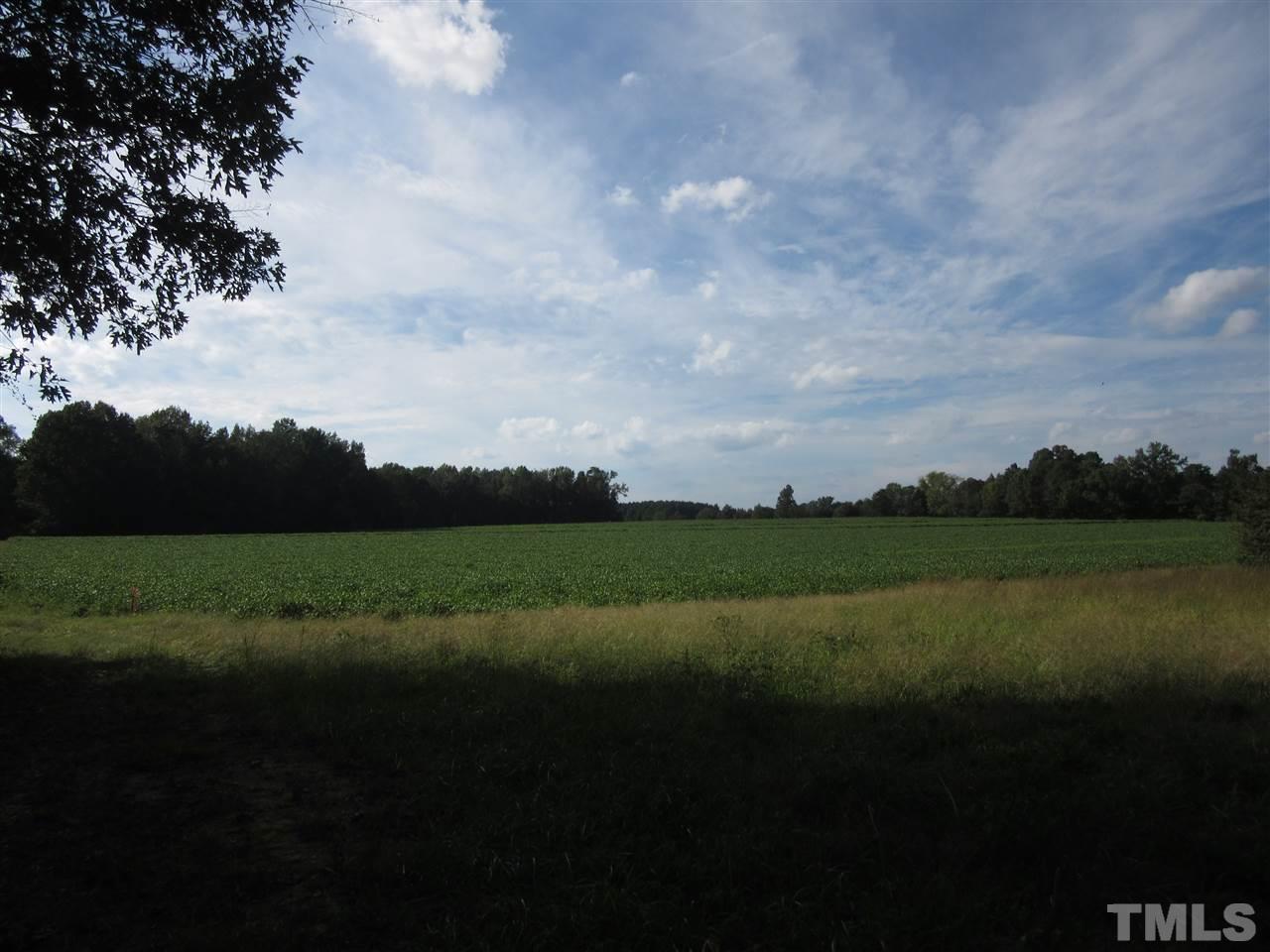 2281 Bryantown Road, Unit 68 49 ACRES Spring Hope, NC 27882 - Photo 4 of 21 a view of a lake and green valley