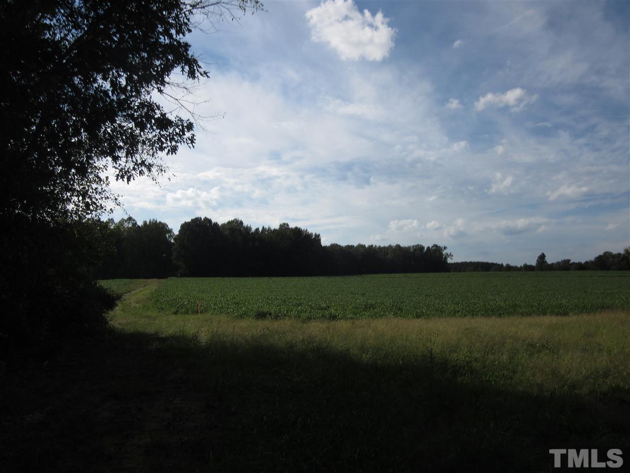 2281 Bryantown Road, Unit 68 49 ACRES Spring Hope, NC 27882 - Photo 5 of 21 a view of a yard and mountain
