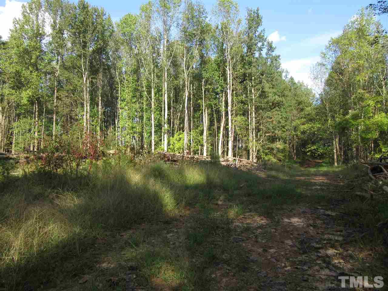 2281 Bryantown Road, Unit 68 49 ACRES Spring Hope, NC 27882 - Photo 6 of 21 a view of outdoor space and yard