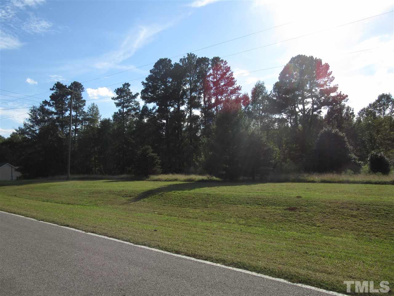 2281 Bryantown Road, Unit 68 49 ACRES Spring Hope, NC 27882 - Photo 9 of 21 a view of a field with a tree in it