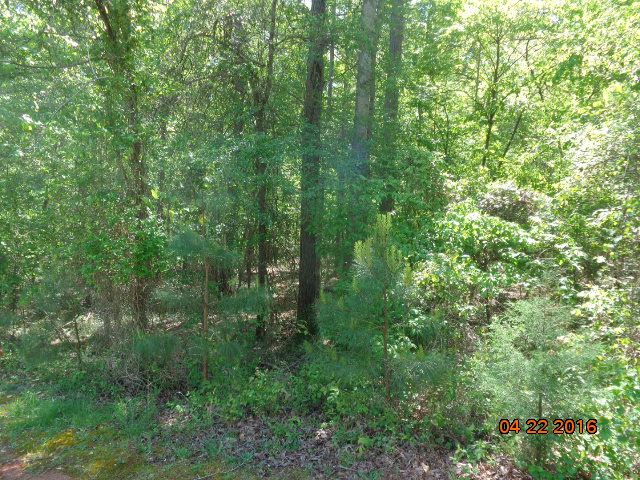 102 Abington Court Anderson, SC 29621 - Photo 2 of 2
