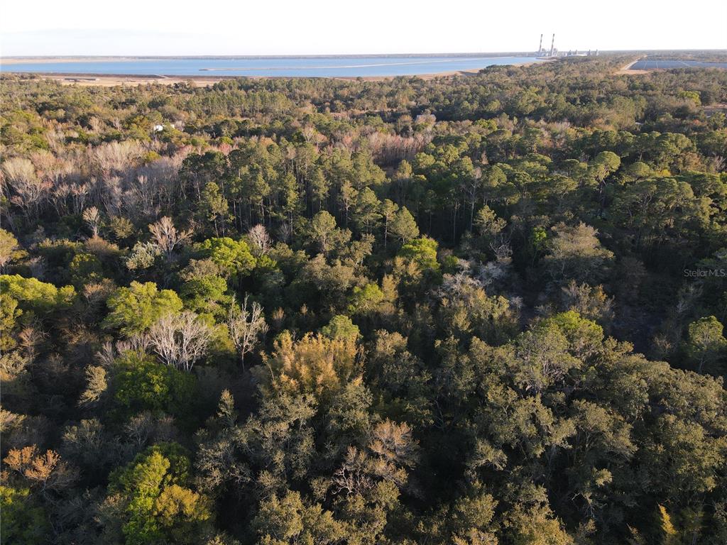 14420 Highland Road Wimauma, FL 33598 - Photo 15 of 19 Gallery Image 15