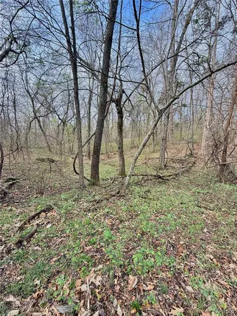 $70,000 | Tbd Southeast Tbd Se 800th Road, Collins, MO 64738