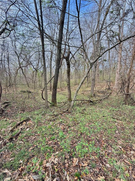 Tbd Southeast Tbd Se 800th Road Collins, MO 64738 - Photo 23 of 36