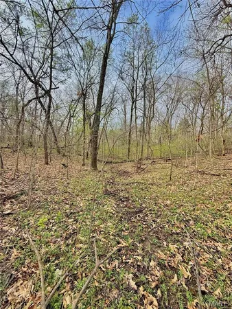 $70,000 | Tbd Southeast Tbd Se 800th Road, Collins, MO 64738