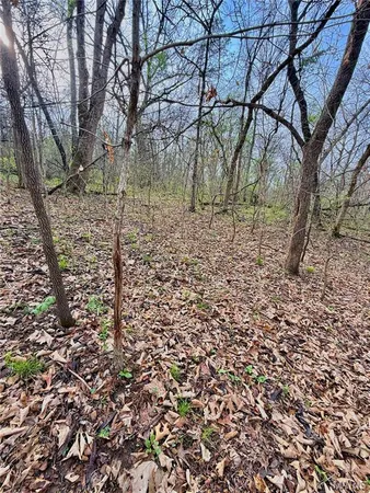 $70,000 | Tbd Southeast Tbd Se 800th Road, Collins, MO 64738