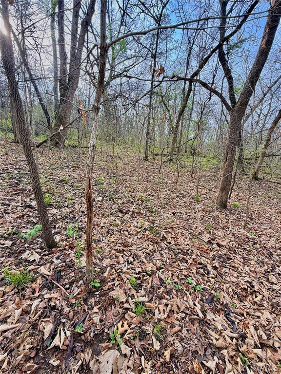 Tbd Southeast Tbd Se 800th Road Collins, MO 64738 - Photo 25 of 36