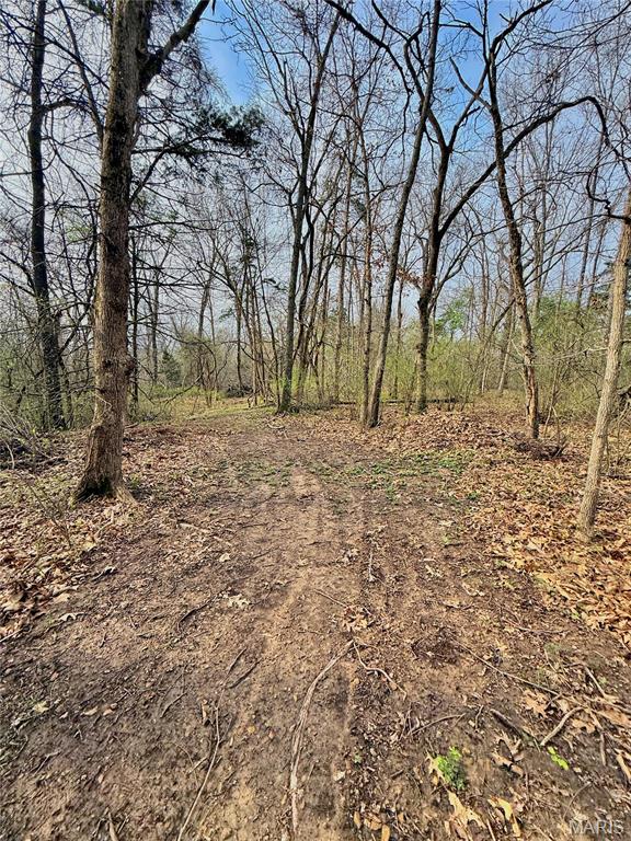 Tbd Southeast Tbd Se 800th Road Collins, MO 64738 - Photo 26 of 36