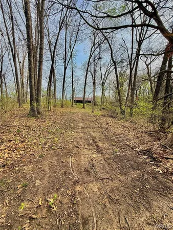 $70,000 | Tbd Southeast Tbd Se 800th Road, Collins, MO 64738