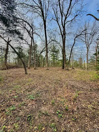 $70,000 | Tbd Southeast Tbd Se 800th Road, Collins, MO 64738