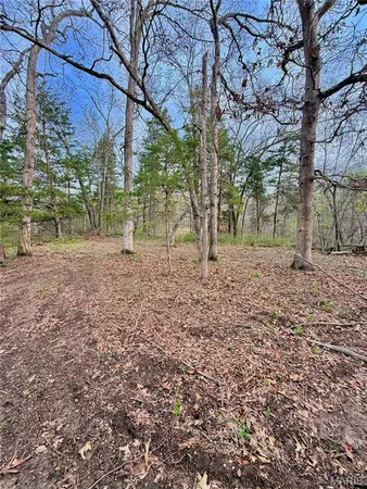 $70,000 | Tbd Southeast Tbd Se 800th Road, Collins, MO 64738