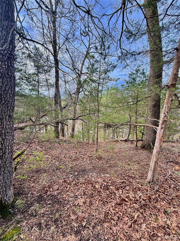 Tbd Southeast Tbd Se 800th Road Collins, MO 64738 - Photo 31 of 36