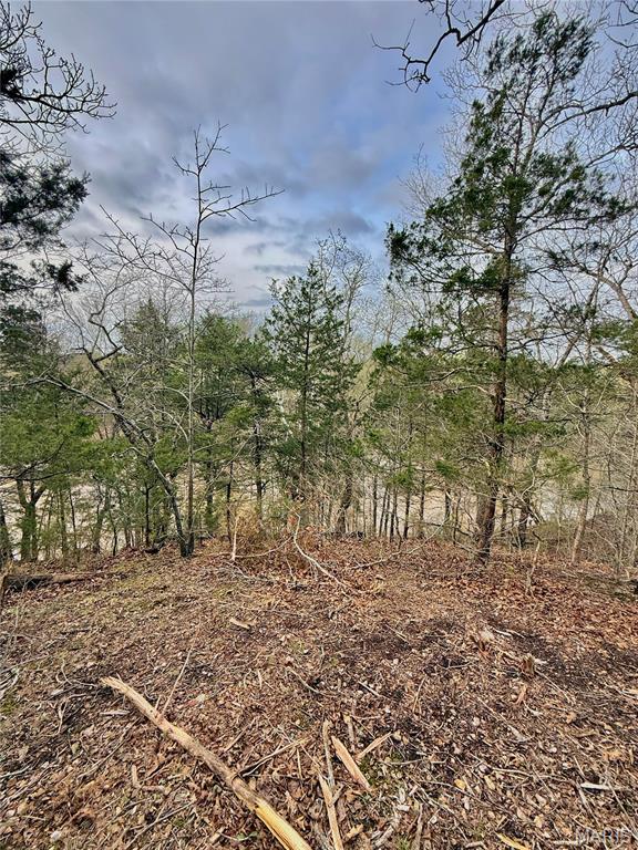 Tbd Southeast Tbd Se 800th Road Collins, MO 64738 - Photo 32 of 36