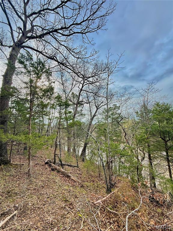 Tbd Southeast Tbd Se 800th Road Collins, MO 64738 - Photo 33 of 36