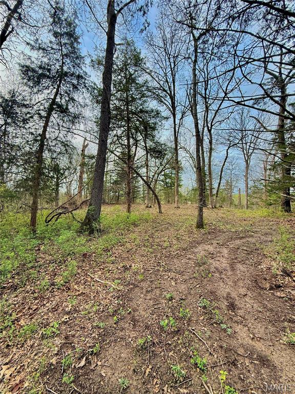 Tbd Southeast Tbd Se 800th Road Collins, MO 64738 - Photo 34 of 36