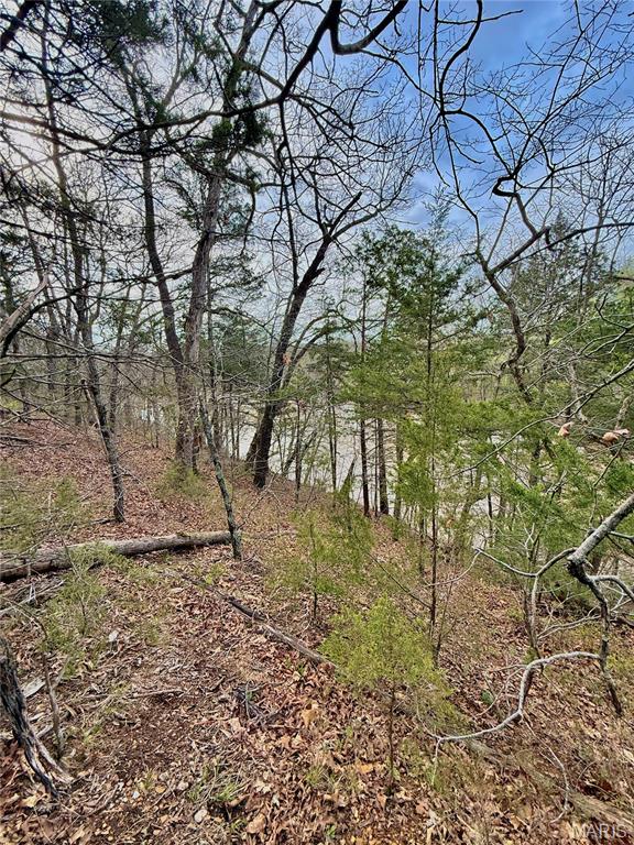 Tbd Southeast Tbd Se 800th Road Collins, MO 64738 - Photo 35 of 36