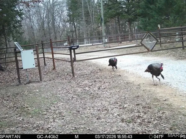 $70,000 | Tbd Southeast Tbd Se 800th Road, Collins, MO 64738