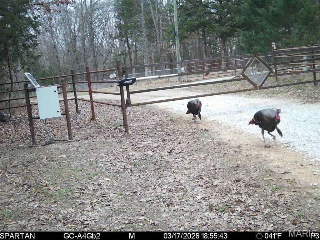 Tbd Southeast Tbd Se 800th Road Collins, MO 64738 - Photo 36 of 36
