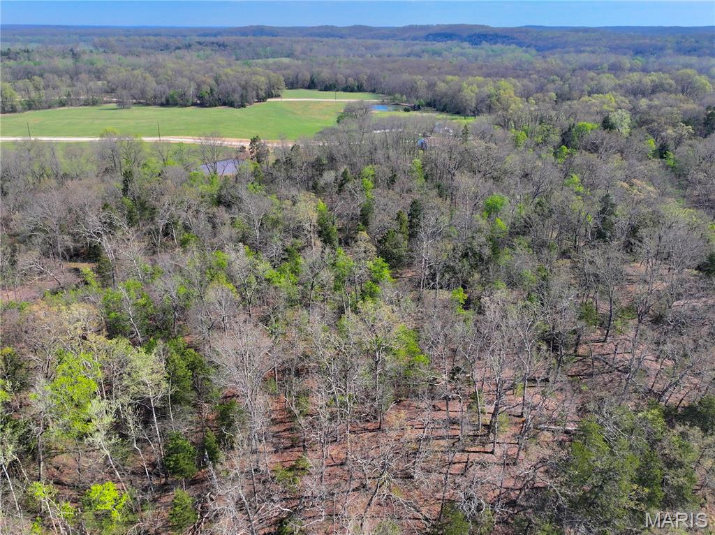 Tbd Southeast Tbd Se 800th Road Collins, MO 64738 - Photo 9 of 36
