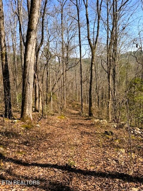 Ellis Creek Driveway
