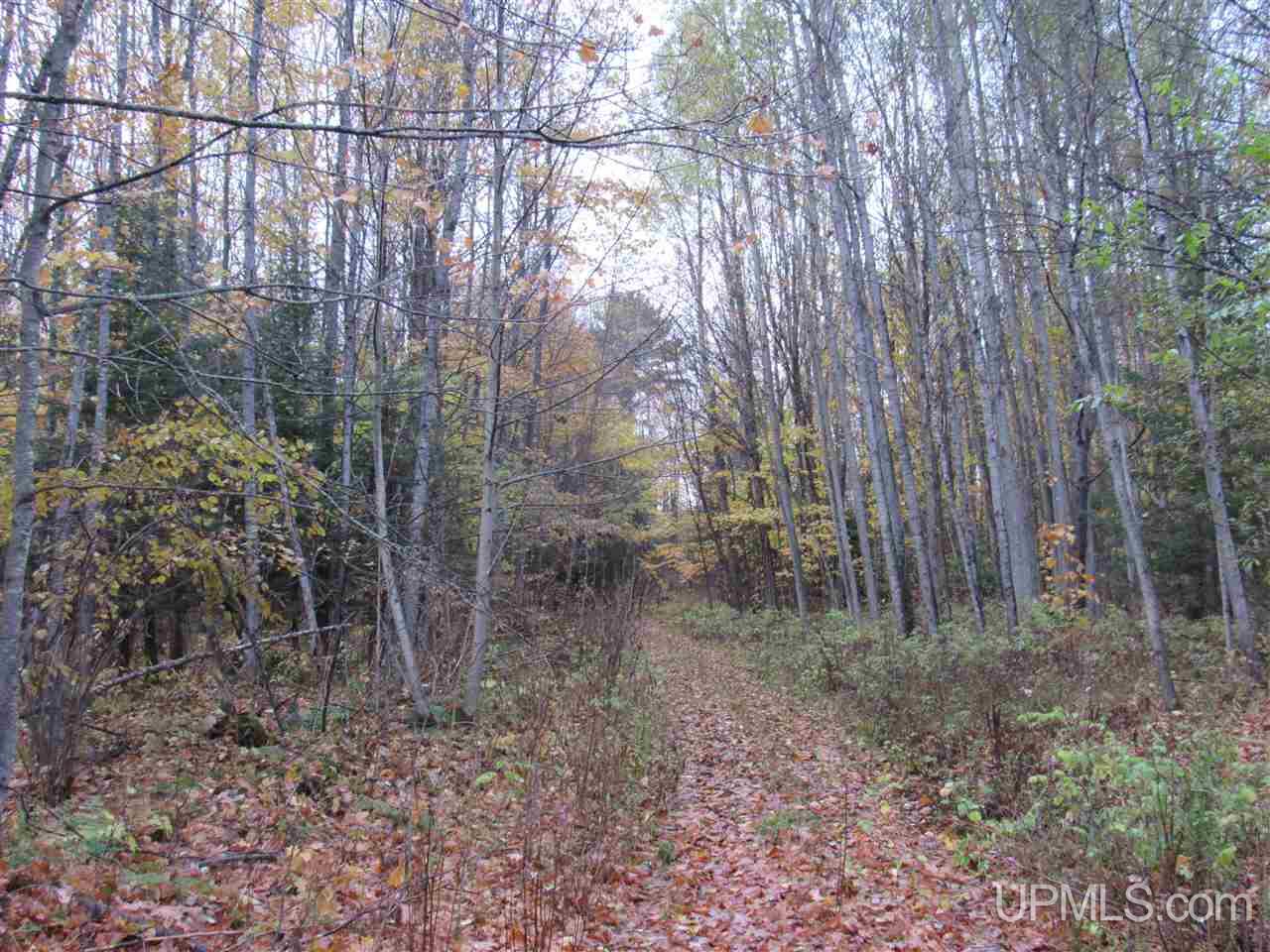 16922 29.5 Road Cooks, MI 49817 - Photo 4 of 33