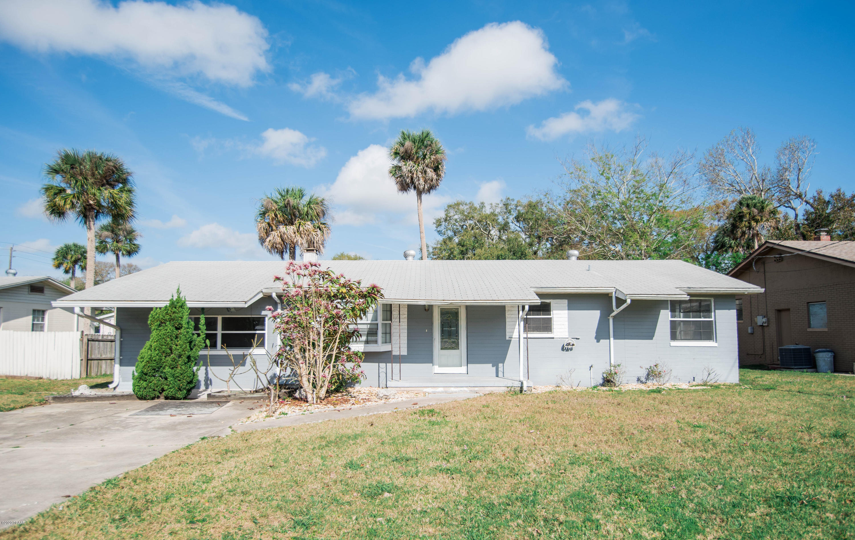 618 Big Tree-0019