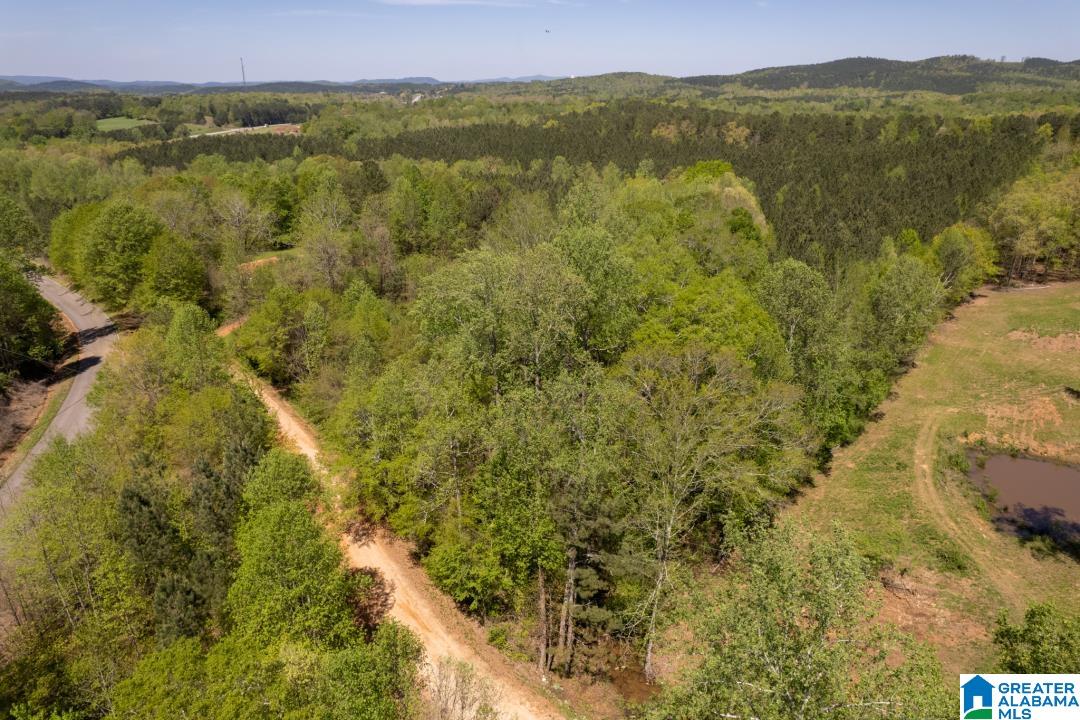 0 Highway 431, Unit 1 Wedowee, AL 36278 - Photo 6 of 10