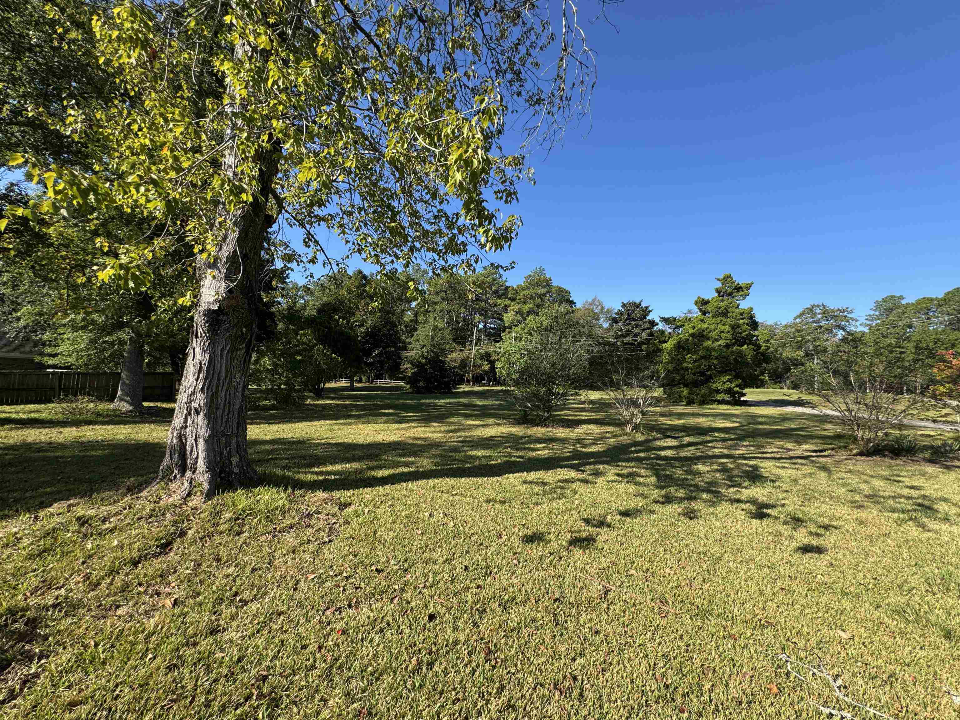 31076 Blakeley Way Daphne, AL 36527 - Photo 20 of 21 Yard