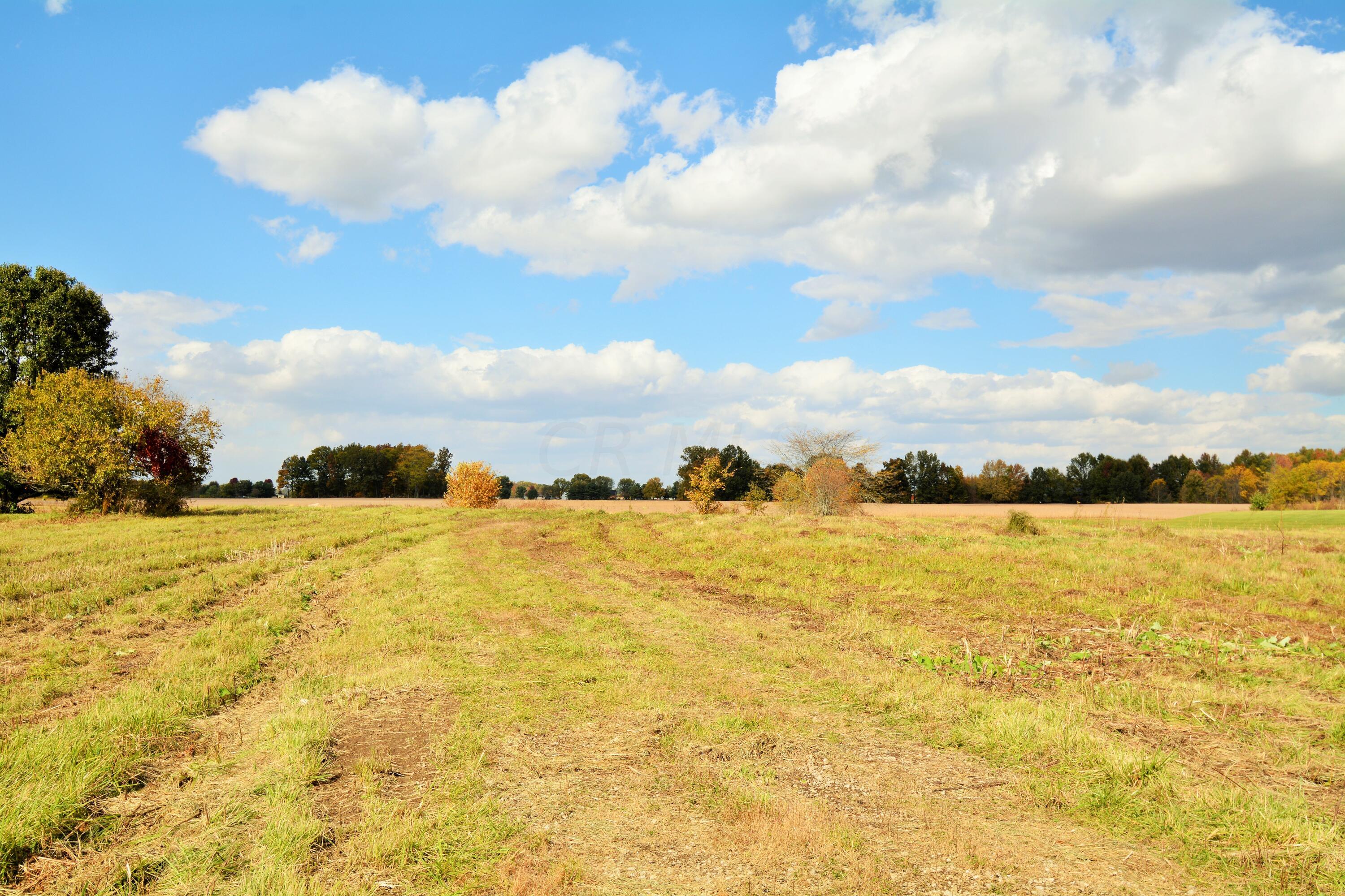 0 Beacom Road Sunbury, OH 43074 - Photo 3 of 15 DSC_3112