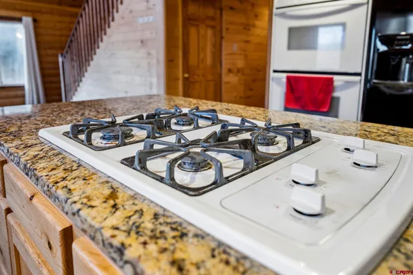 $915,000 | 885 Puma Place, Pagosa Springs, CO 81147