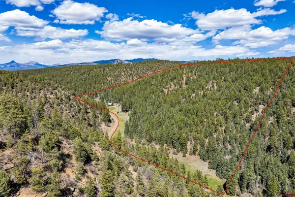 $915,000 | 885 Puma Place, Pagosa Springs, CO 81147