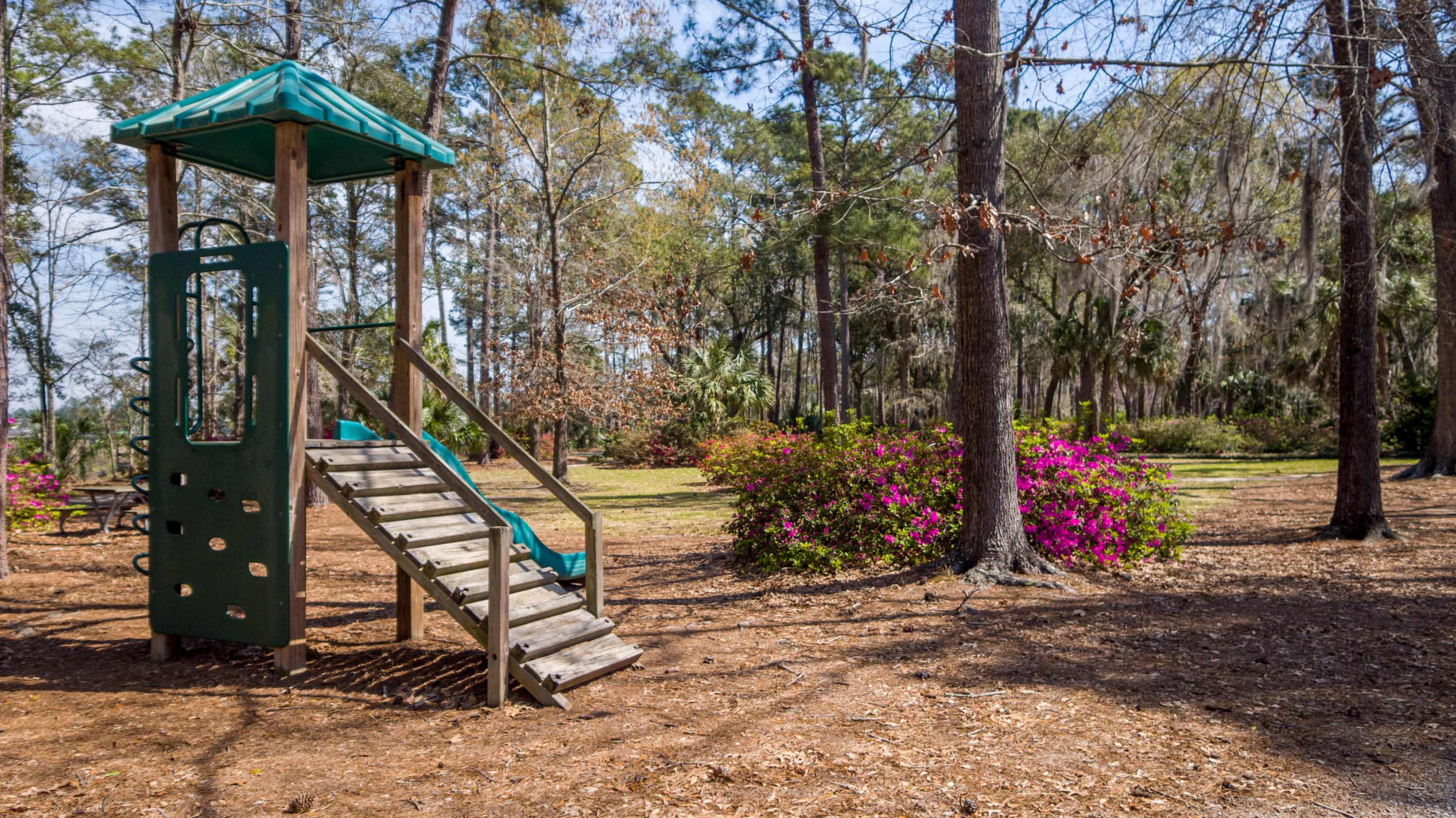 3561 Henrietta Hartford Road Mount Pleasant, SC 29466 - Photo 18 of 35 DJI_0201