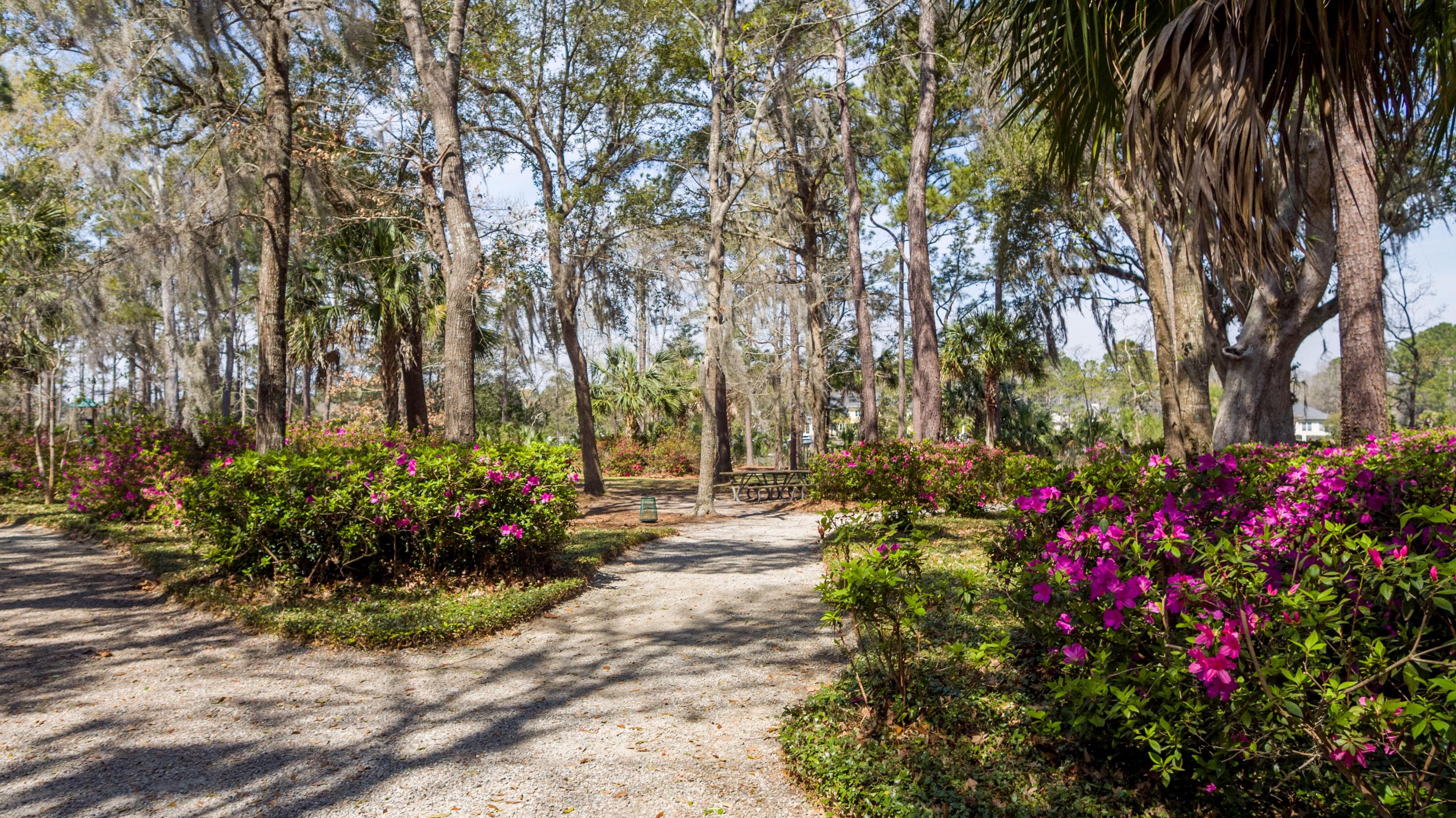 3561 Henrietta Hartford Road Mount Pleasant, SC 29466 - Photo 20 of 35 DJI_0204