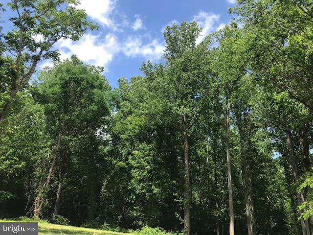 Lovely mature trees in a park like setting.