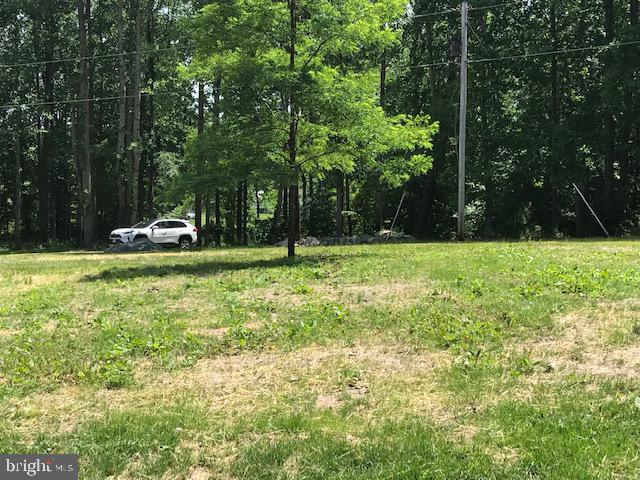 8050 Leeds Manor Road Marshall, VA 20115 - Photo 13 of 21 View from potential house site
