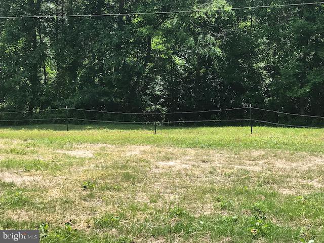 8050 Leeds Manor Road Marshall, VA 20115 - Photo 14 of 21 View from potential house site